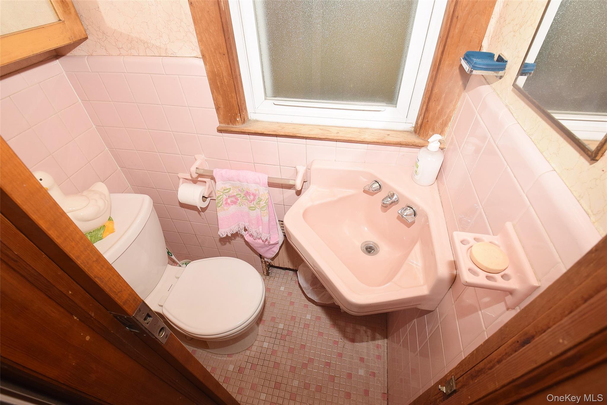 Single Family Nieman  Nassau County, NY 11563, MLS-888506-4