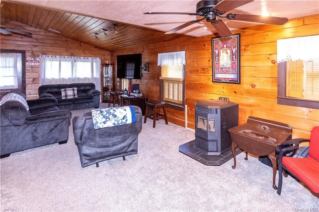 Single Family Low  Ulster County, NY 12589, MLS-888650-16