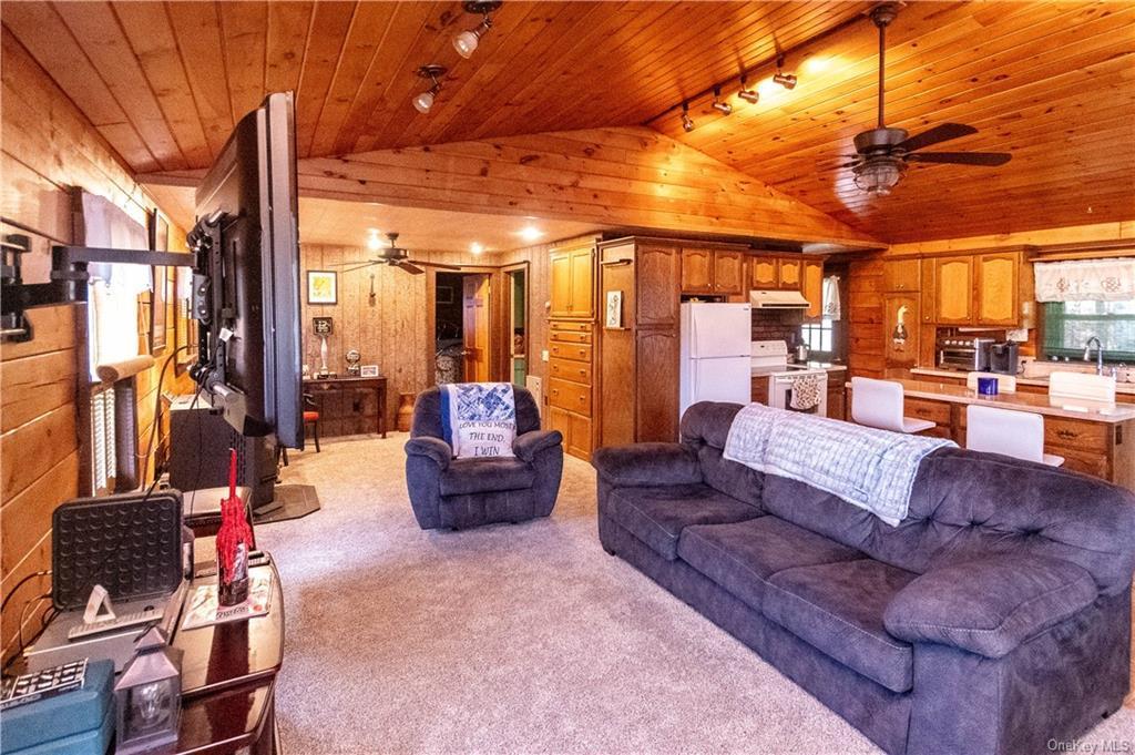 Single Family Low  Ulster County, NY 12589, MLS-888650-19