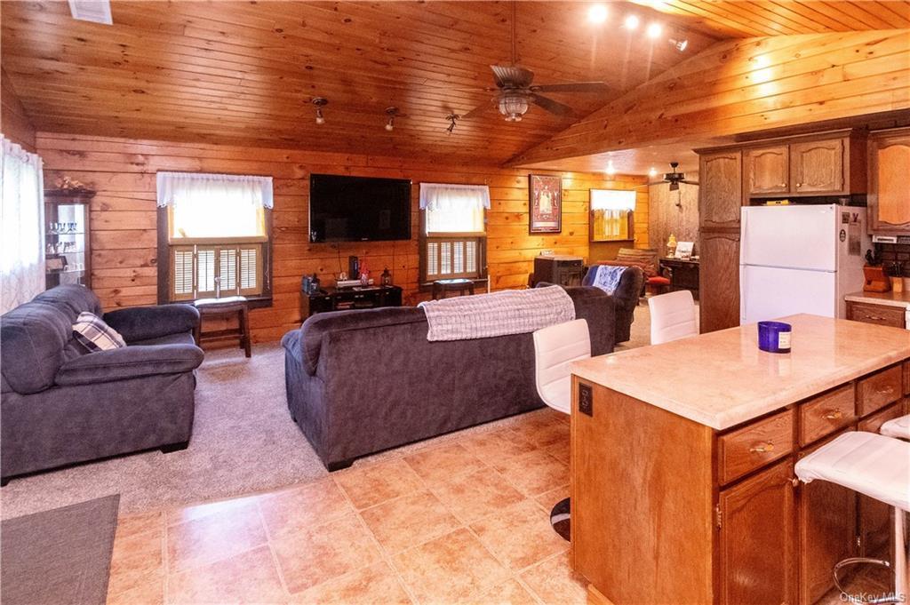 Single Family Low  Ulster County, NY 12589, MLS-888650-21