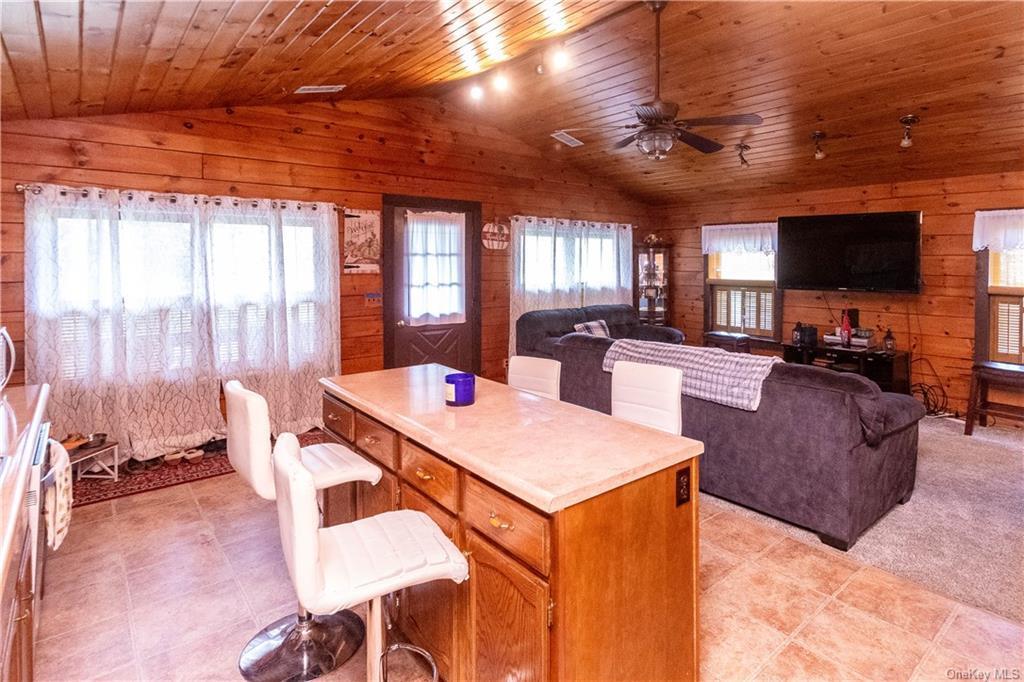 Single Family Low  Ulster County, NY 12589, MLS-888650-22