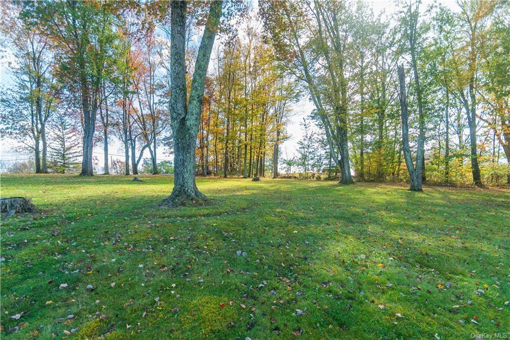 Single Family Low  Ulster County, NY 12589, MLS-888650-4