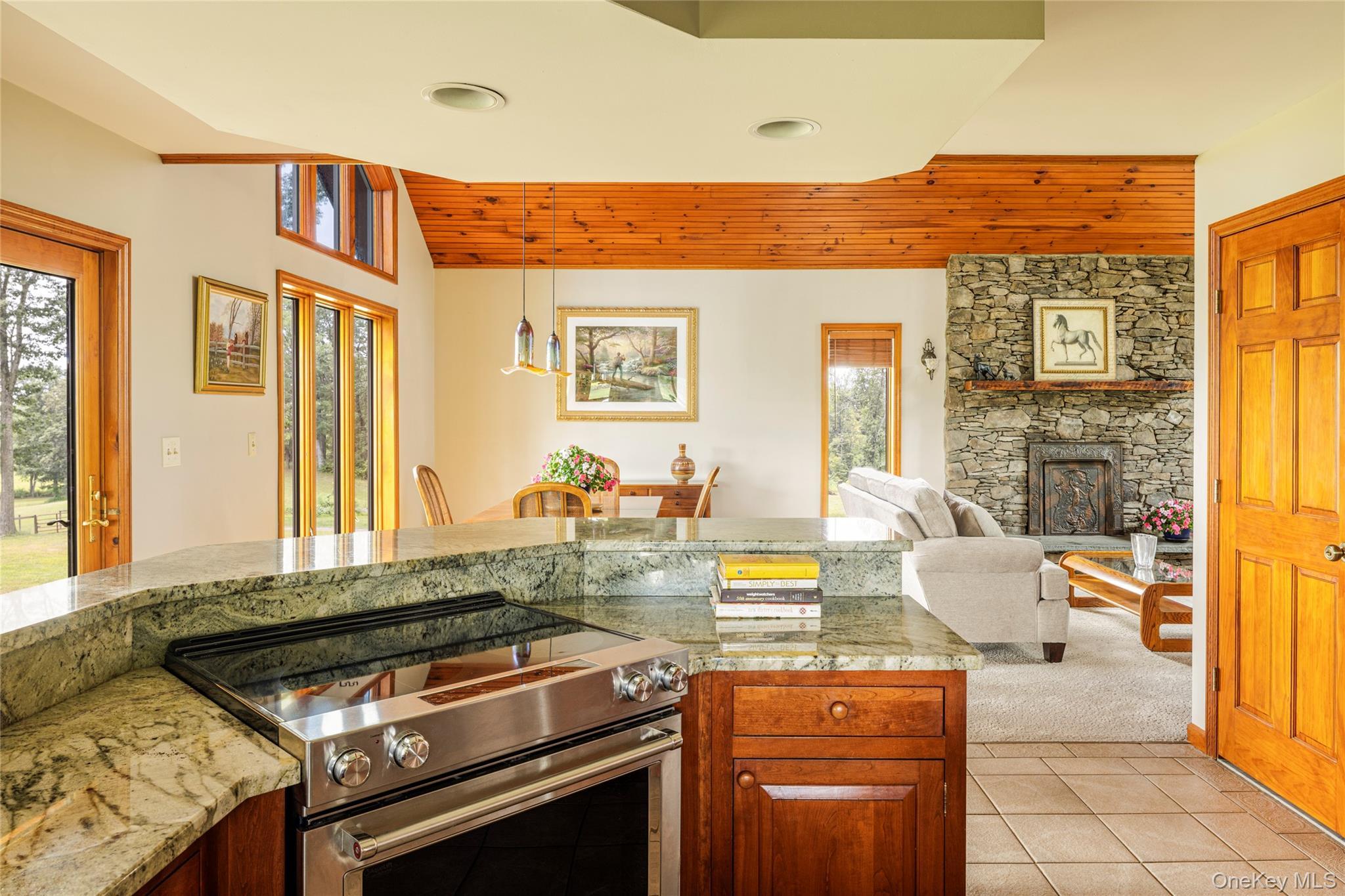 Single Family County Route 14 Columbia County, NY 12534, MLS-888773-12