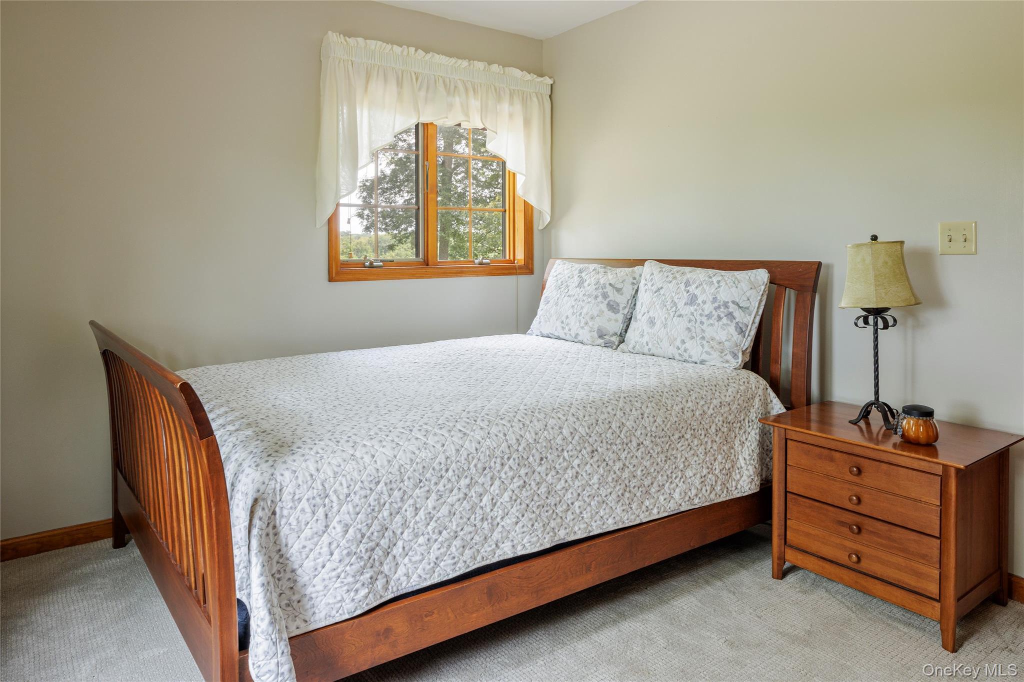 Single Family County Route 14 Columbia County, NY 12534, MLS-888773-20