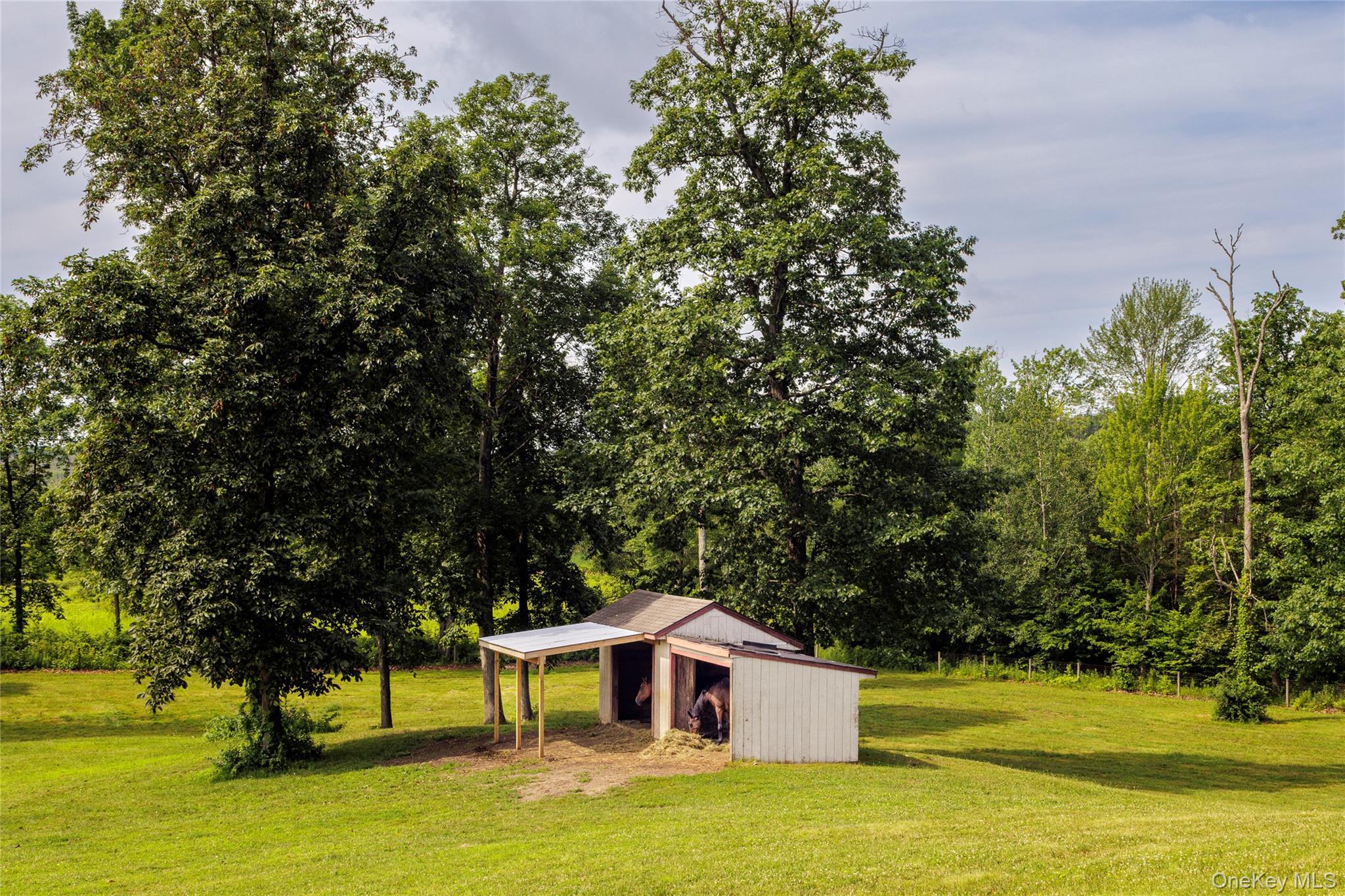 Single Family County Route 14 Columbia County, NY 12534, MLS-888773-31