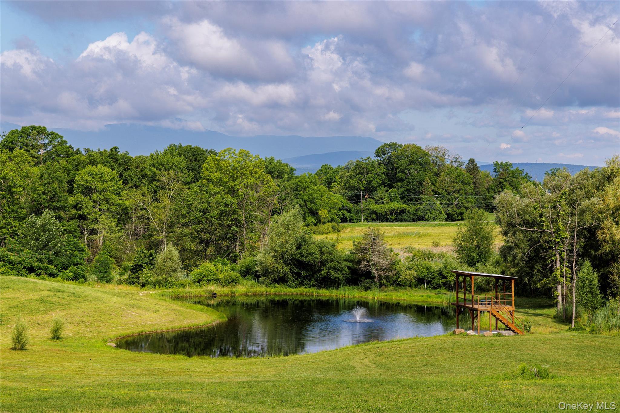 Single Family County Route 14 Columbia County, NY 12534, MLS-888773-41