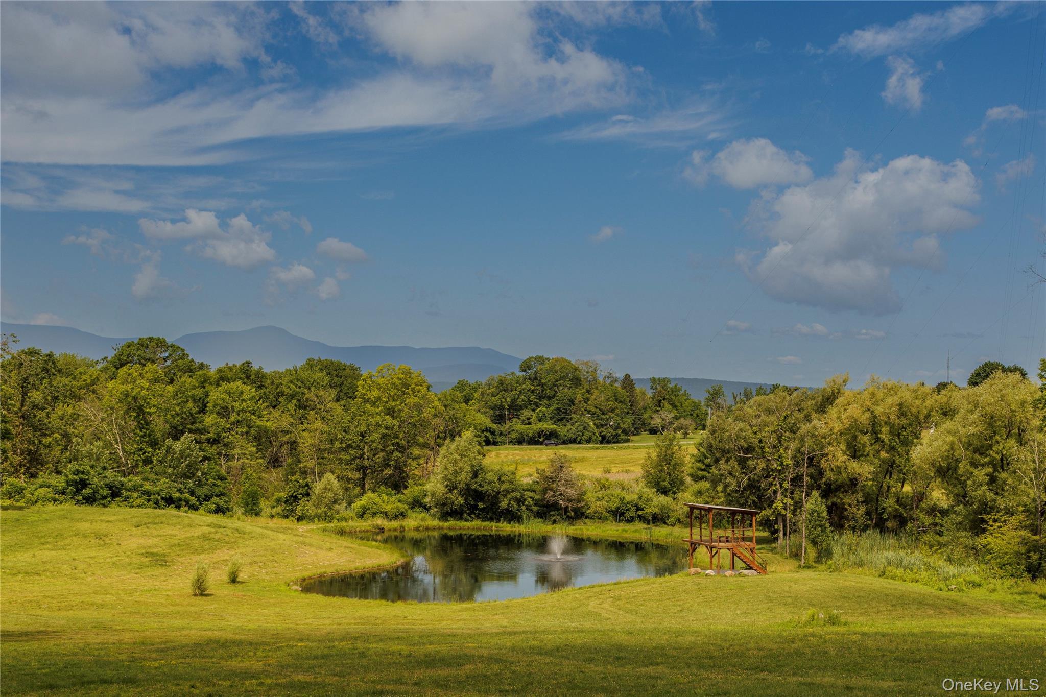 Single Family County Route 14 Columbia County, NY 12534, MLS-888773-42