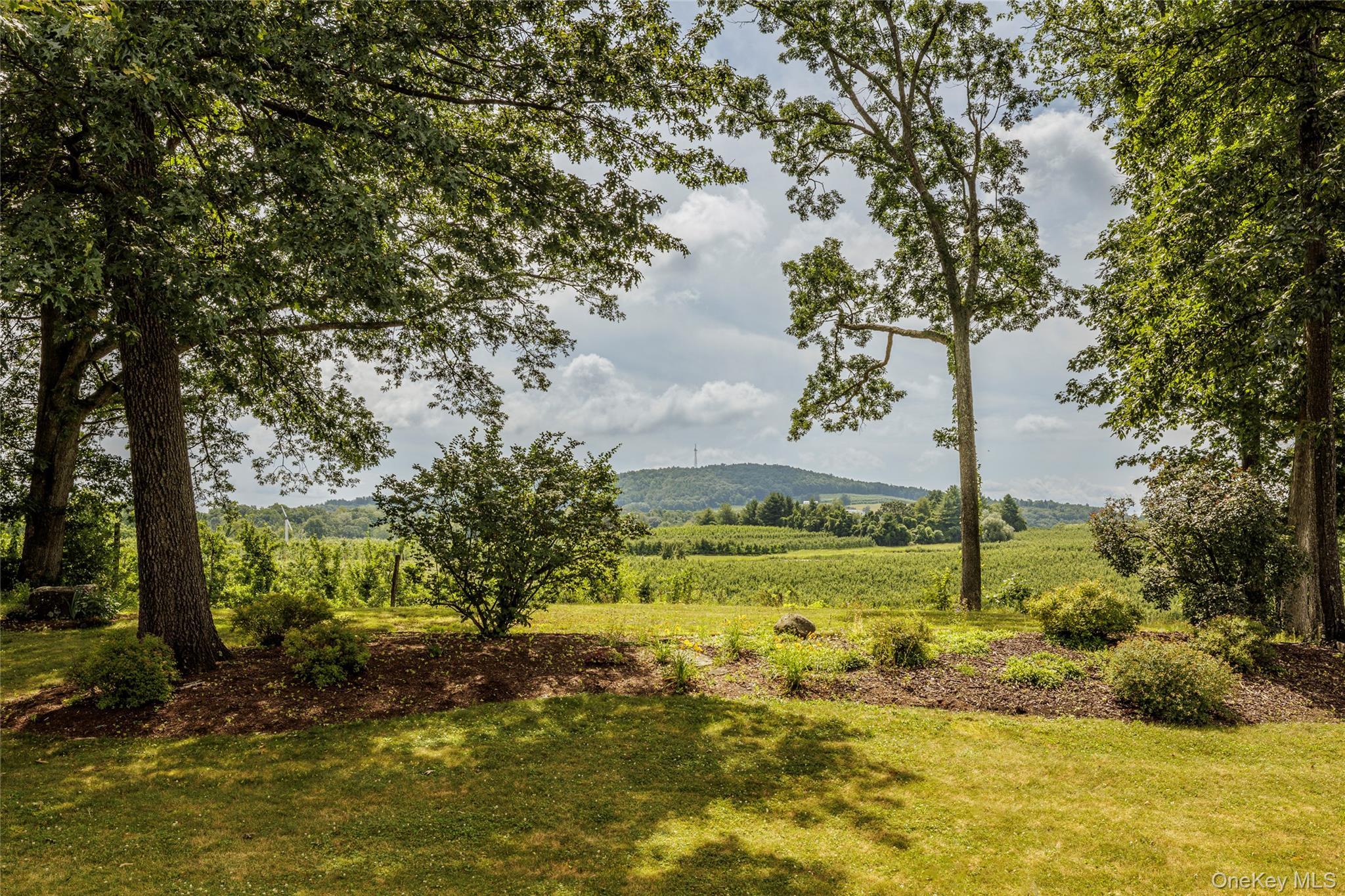 Single Family County Route 14 Columbia County, NY 12534, MLS-888773-46