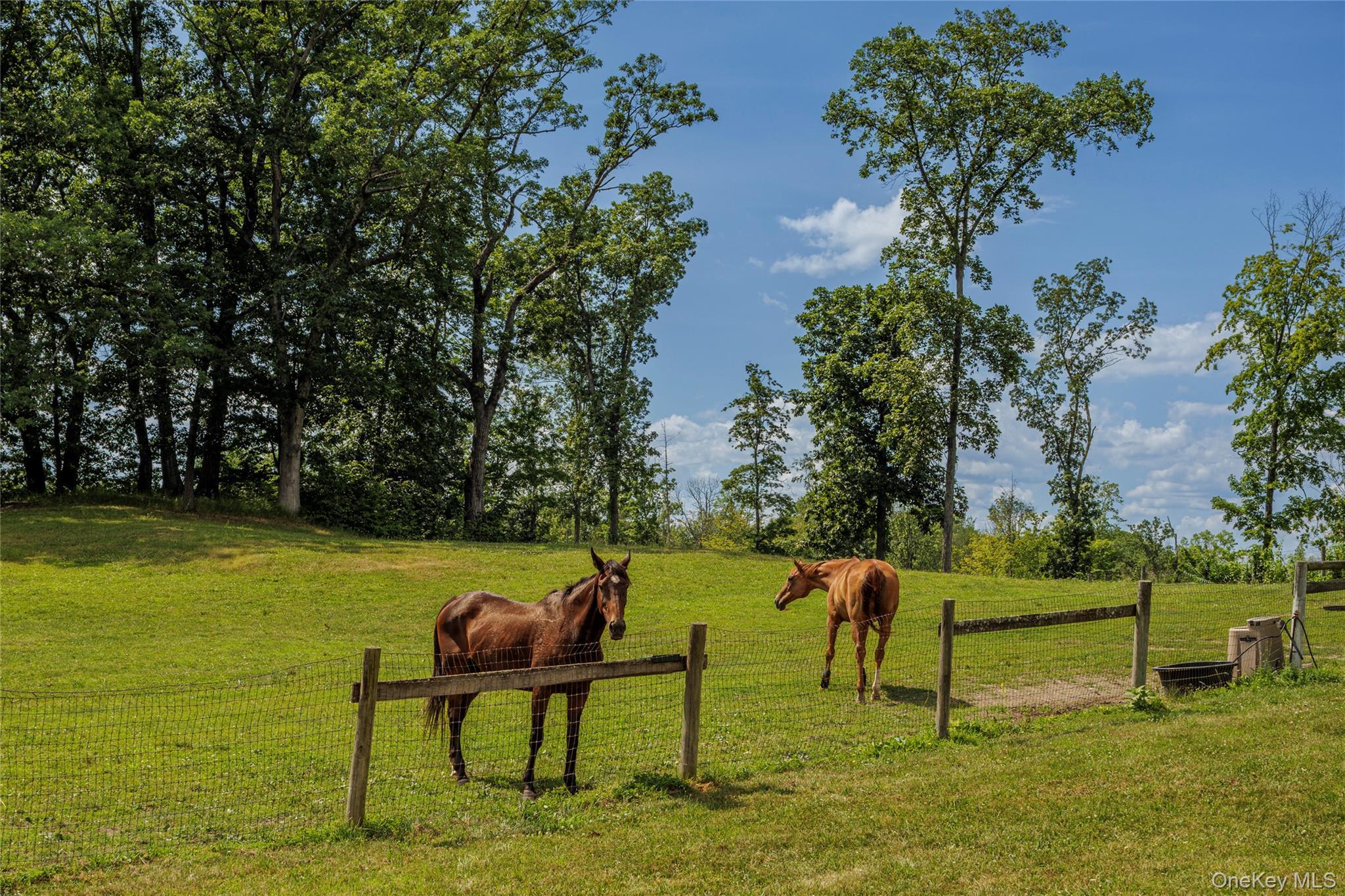 Single Family County Route 14 Columbia County, NY 12534, MLS-888773-47