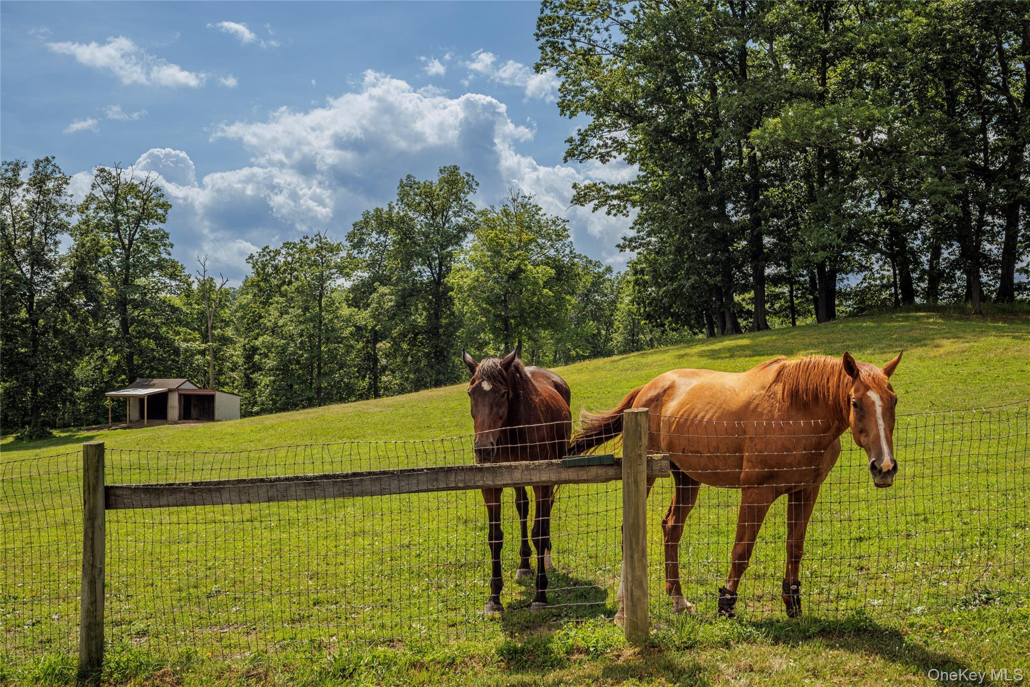 Single Family County Route 14 Columbia County, NY 12534, MLS-888773-48