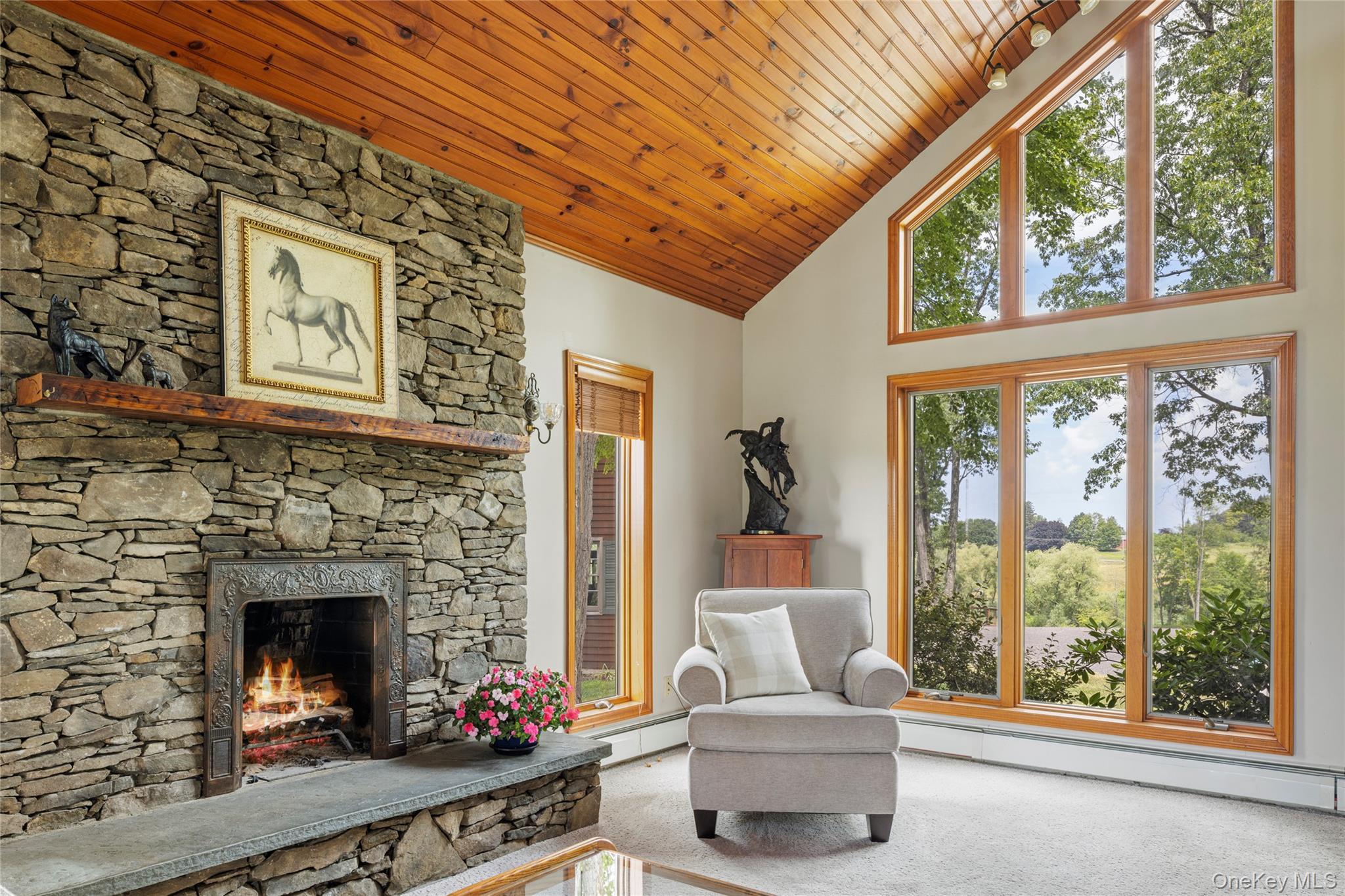 Single Family County Route 14 Columbia County, NY 12534, MLS-888773-7