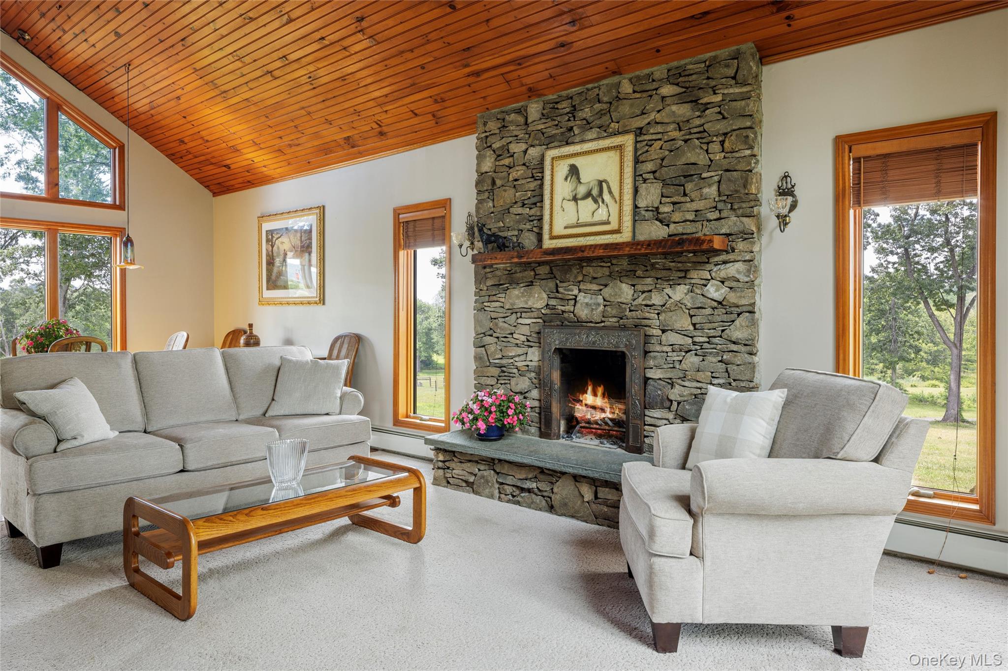 Single Family County Route 14 Columbia County, NY 12534, MLS-888773-8