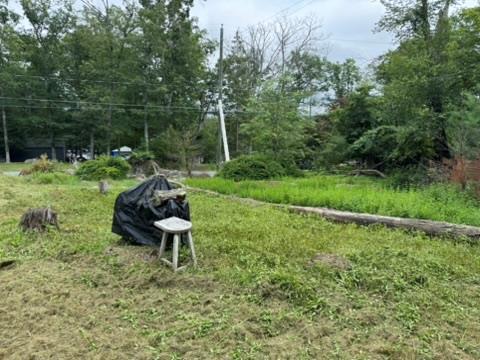 Single Family Minisink  Sullivan County, NY 12737, MLS-888821-4