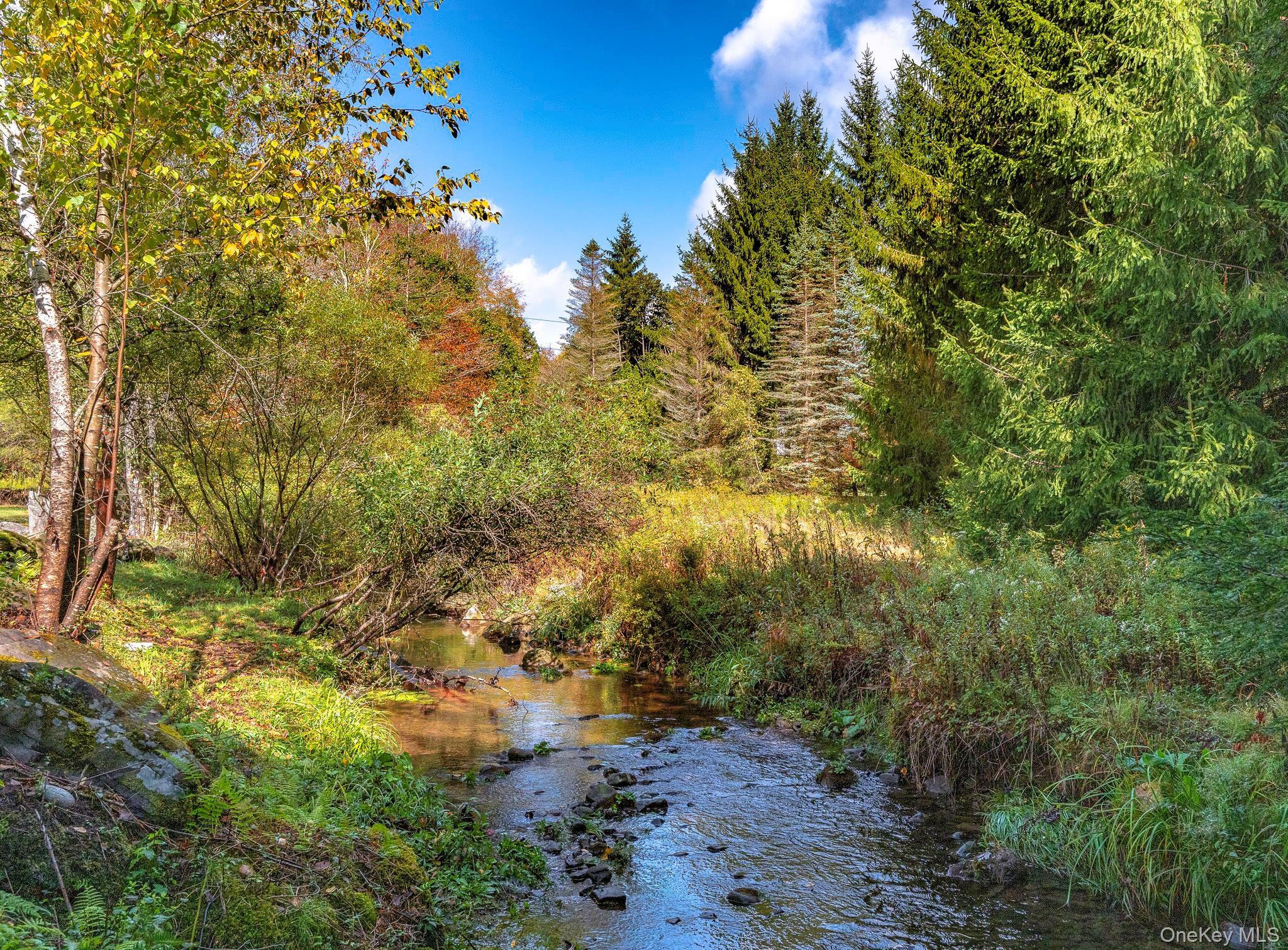 Single Family Aden  Sullivan County, NY 12754, MLS-888837-21