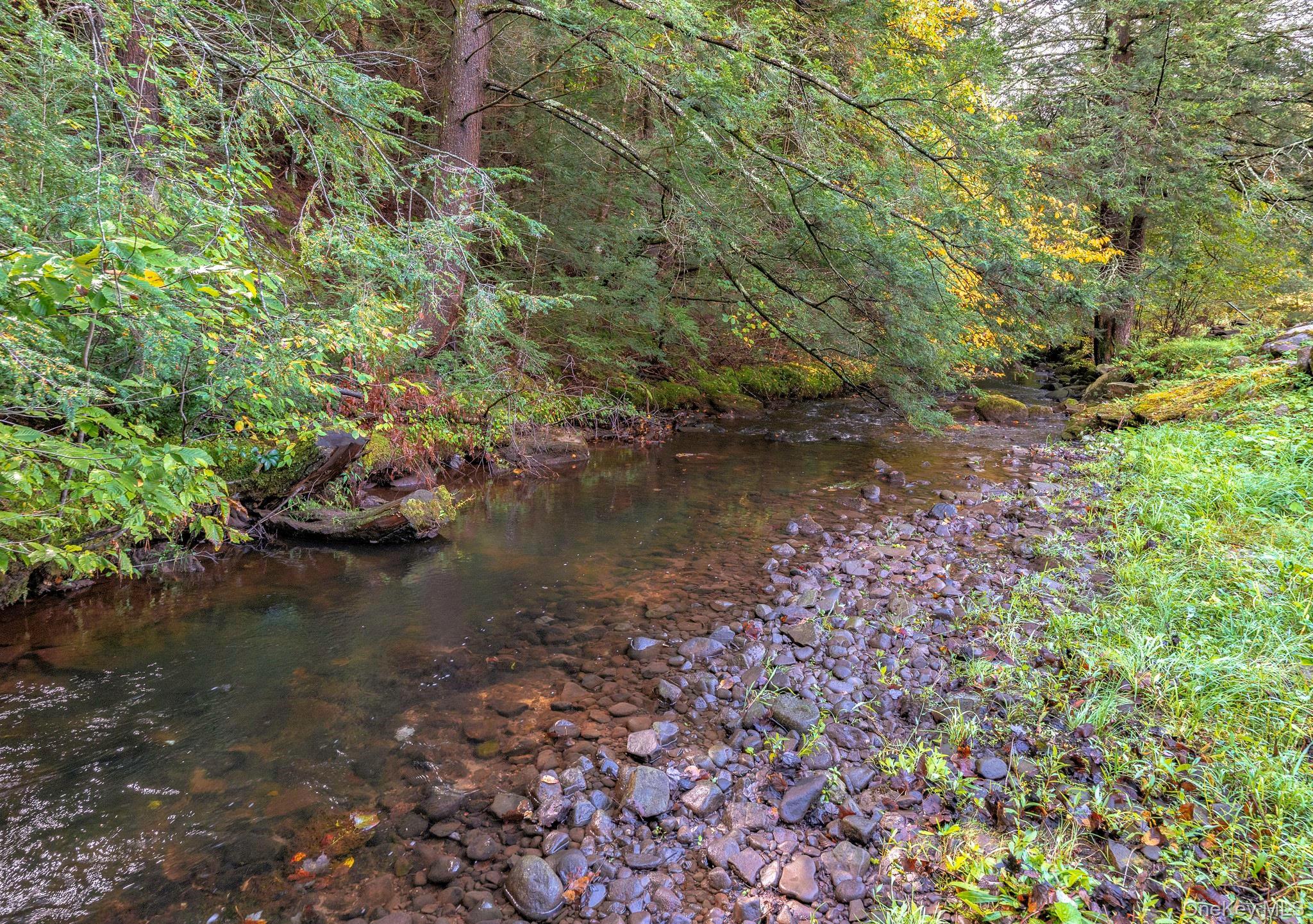 Single Family Aden  Sullivan County, NY 12754, MLS-888837-22