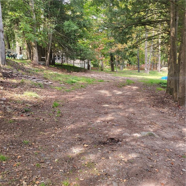 Single Family Woodland  Sullivan County, NY 12720, MLS-888891-22