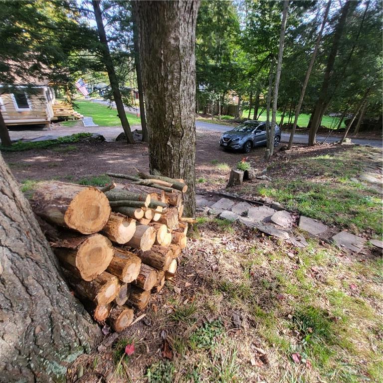 Single Family Woodland  Sullivan County, NY 12720, MLS-888891-24