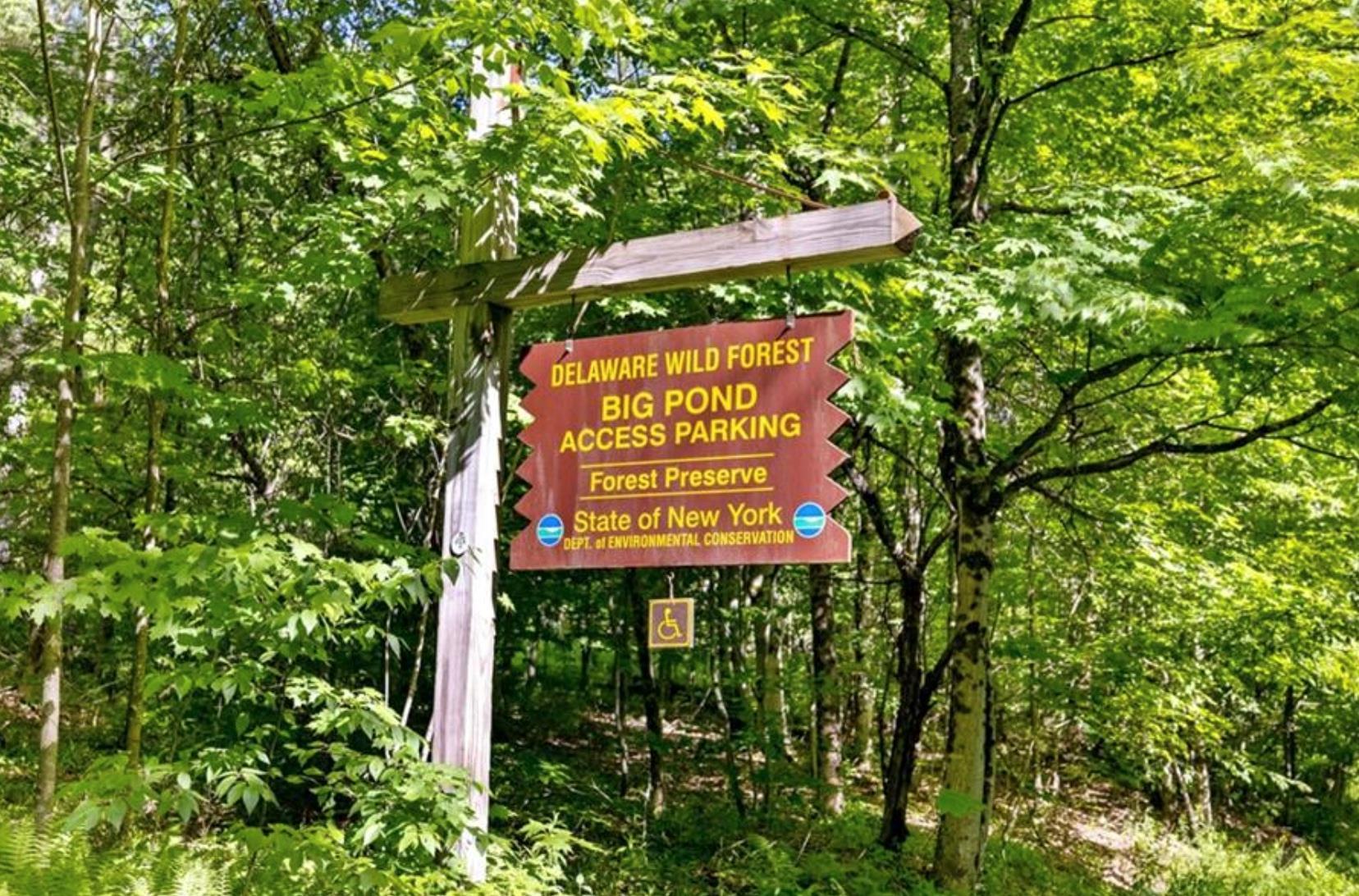 Single Family Beaverkill Road Ulster County, NY 12758, MLS-888913-20