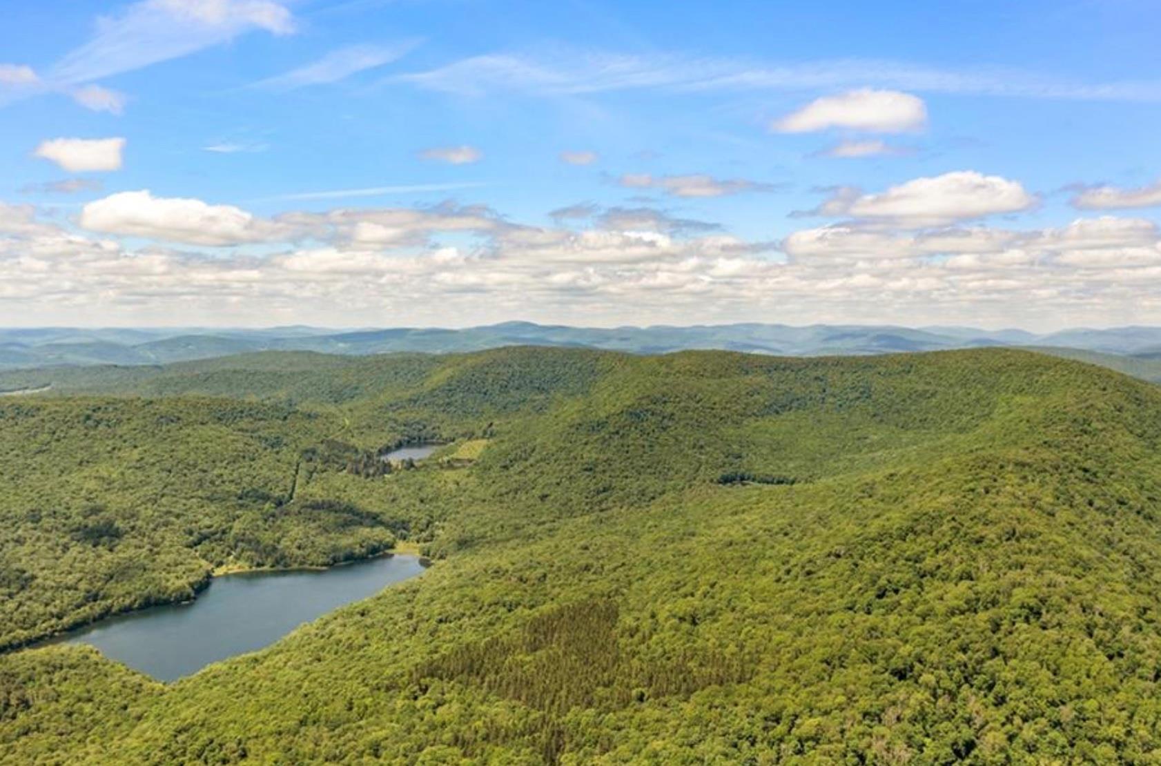 Single Family Beaverkill Road Ulster County, NY 12758, MLS-888913-22