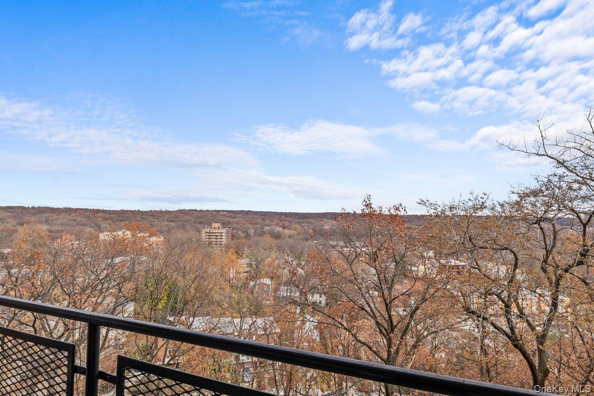 Coop Fieldston  Bronx, NY 10471, MLS-888952-11