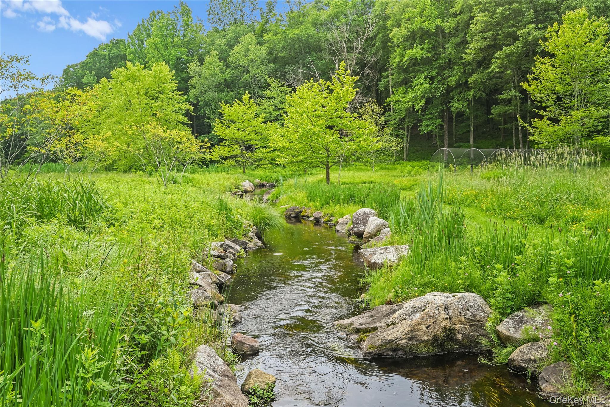 Single Family Long Ridge  Out Of Area, NY 06810, MLS-888972-43