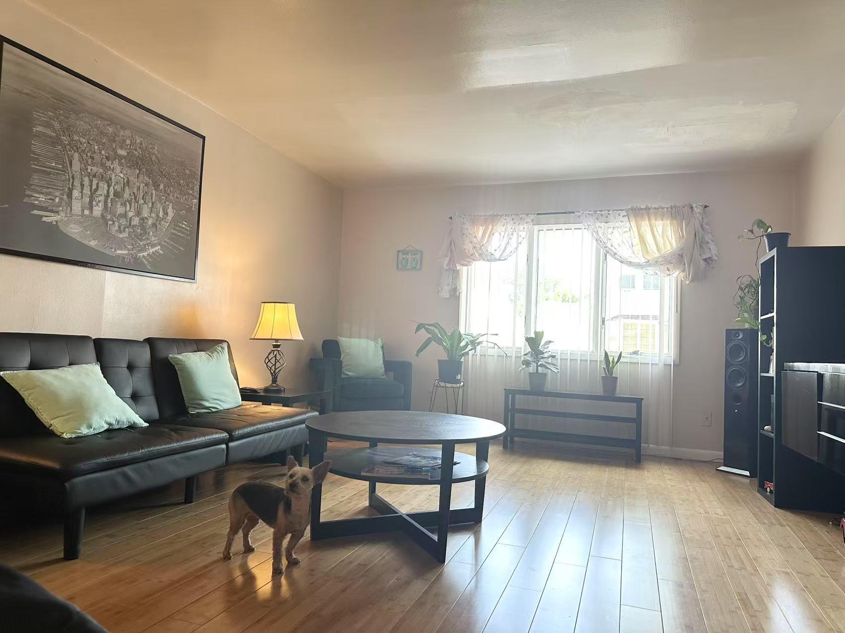 Single Family 90th  Queens, NY 11421, MLS-889166-4