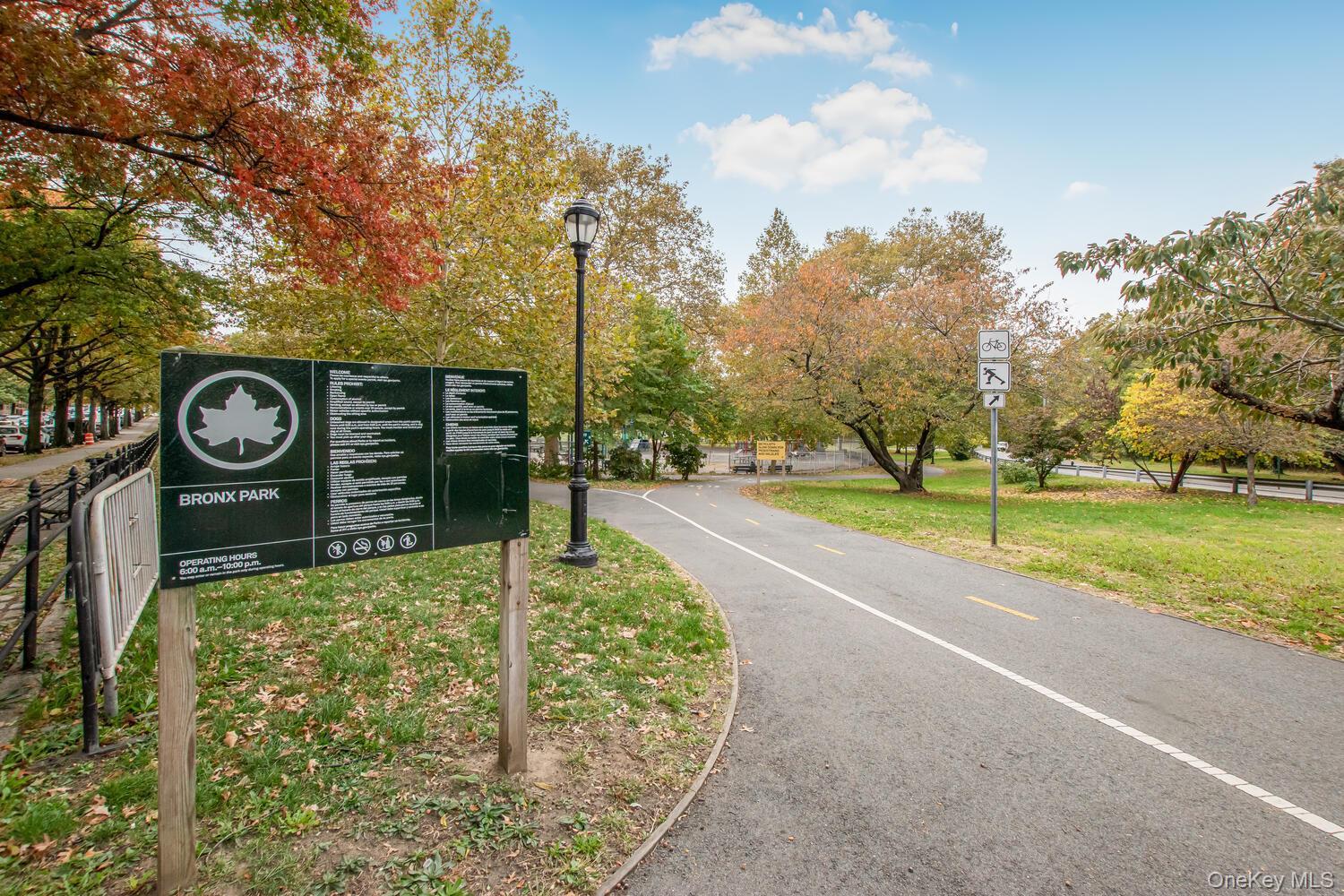 Coop Street  Bronx, NY 10462, MLS-889249-6