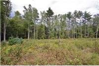 Single Family Braden  Ulster County, NY 12435, MLS-889386-25