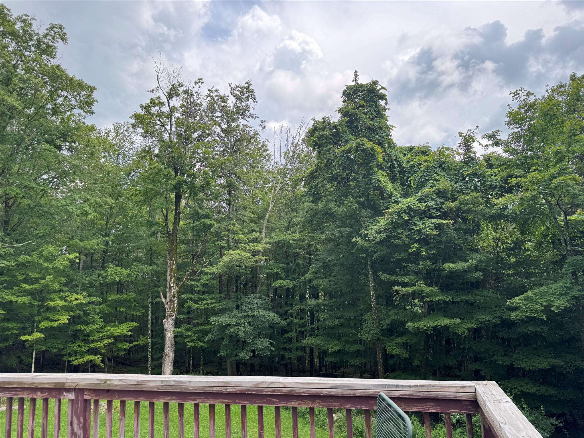 Single Family Todd  Sullivan County, NY 12788, MLS-889483-2