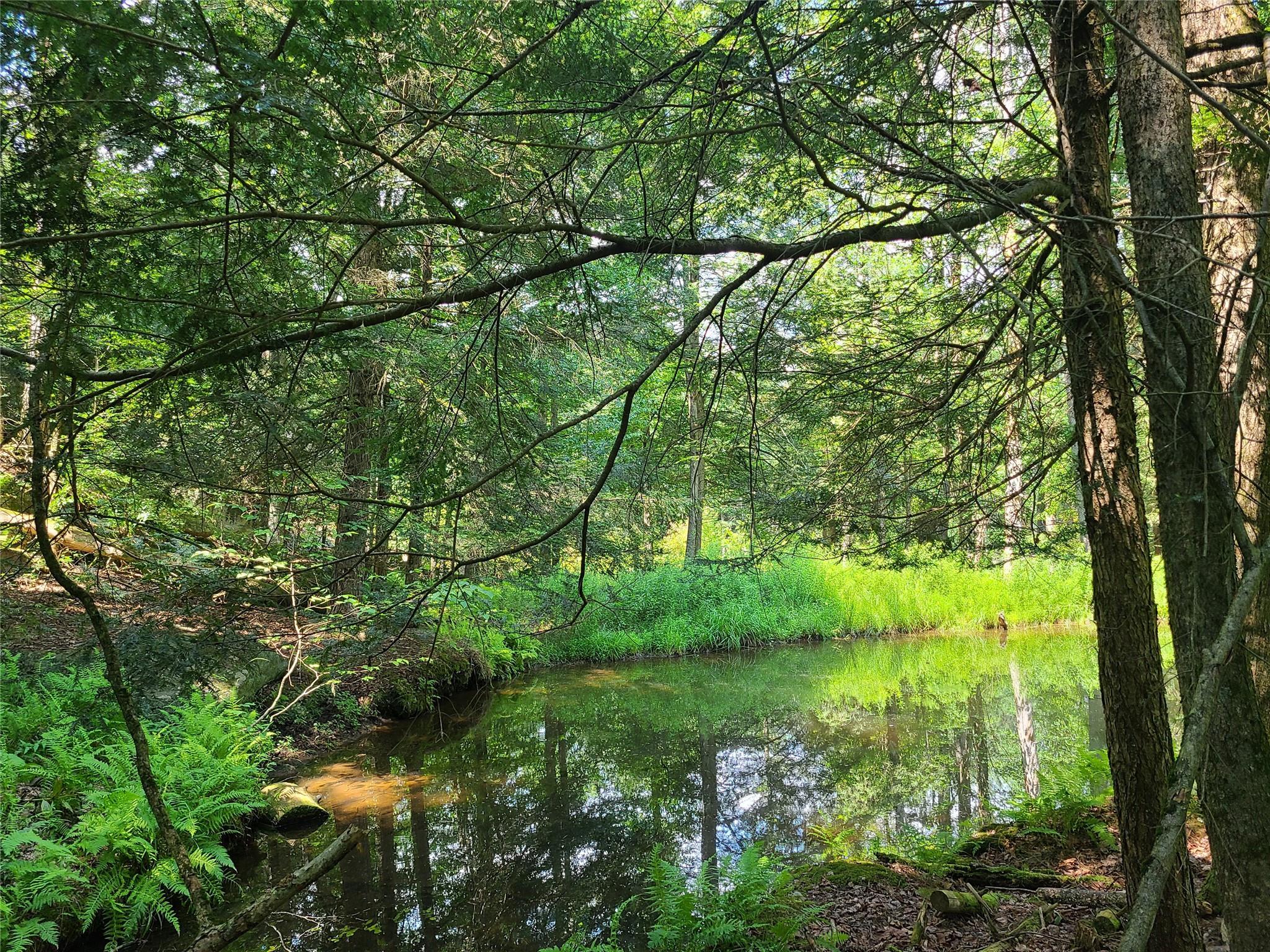 Single Family Martin  Sullivan County, NY 12762, MLS-889616-11