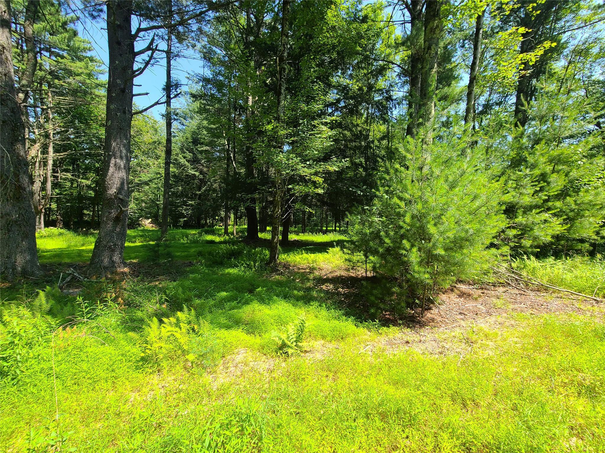 Single Family Martin  Sullivan County, NY 12762, MLS-889616-33