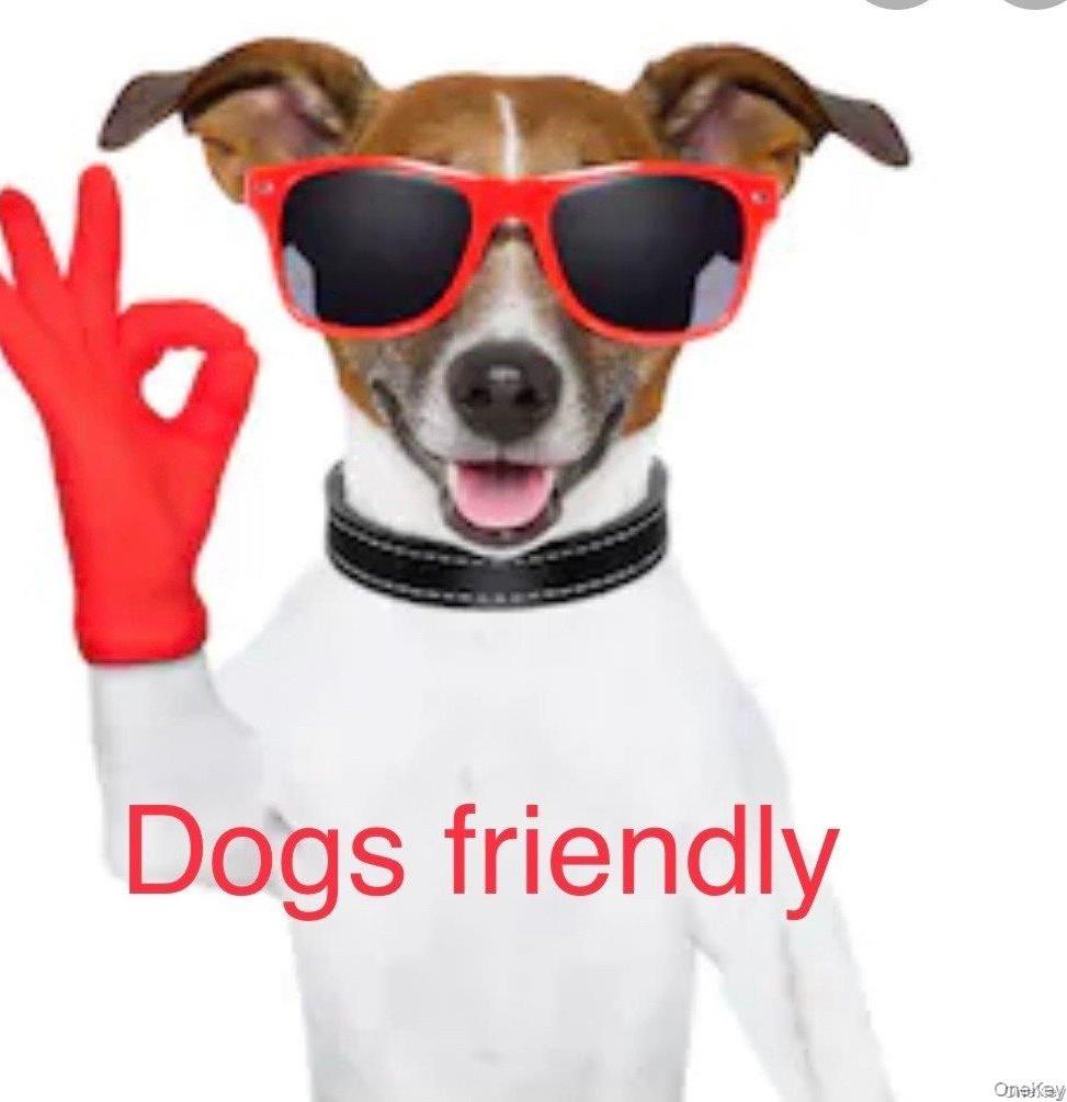 Coop 74  Queens, NY 11364, MLS-889670-22