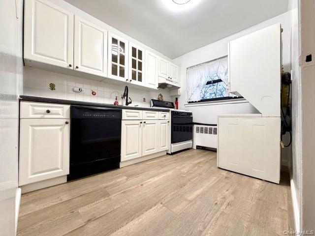 Coop 74  Queens, NY 11364, MLS-889670-6