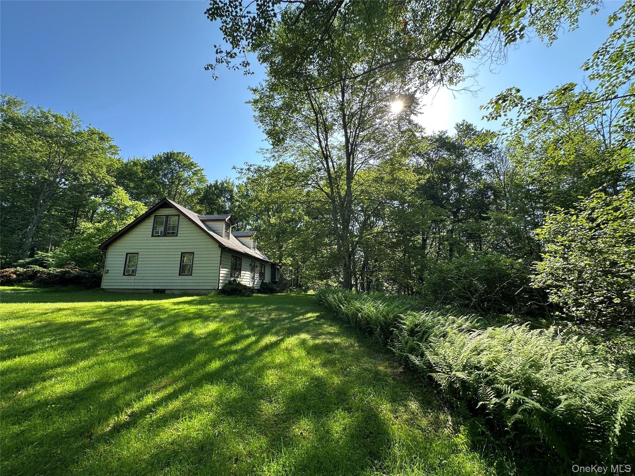 Single Family Lumberland Mt Hope  Sullivan County, NY 12764, MLS-889874-10