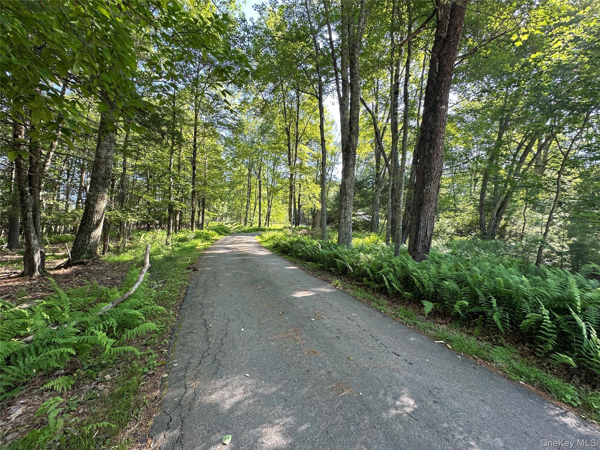 Single Family Lumberland Mt Hope  Sullivan County, NY 12764, MLS-889874-3