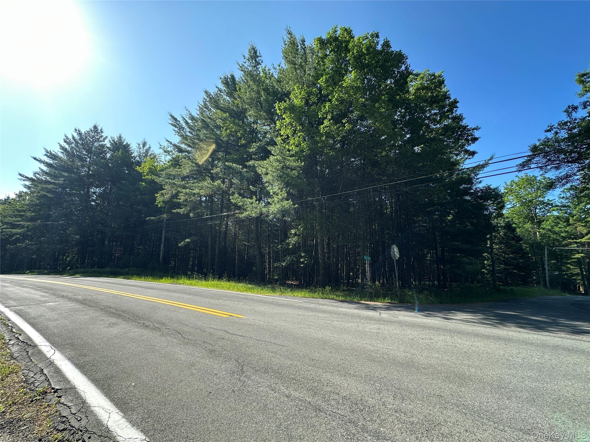 Single Family Lumberland Mt Hope  Sullivan County, NY 12764, MLS-889874-4