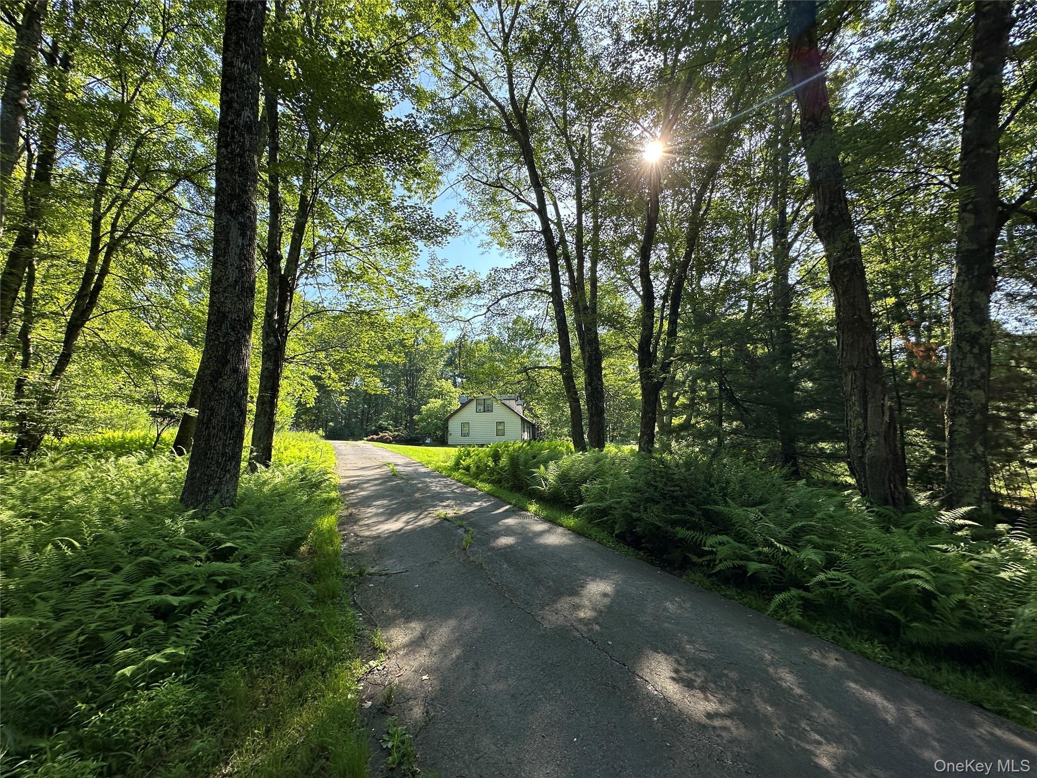 Single Family Lumberland Mt Hope  Sullivan County, NY 12764, MLS-889874-5