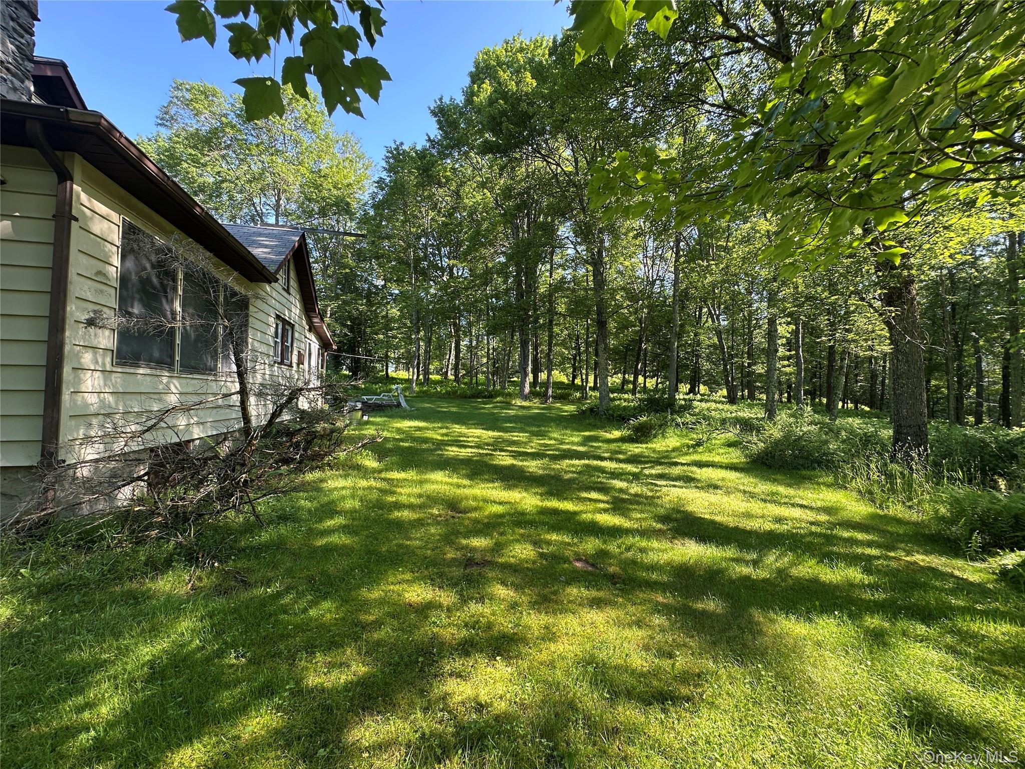 Single Family Lumberland Mt Hope  Sullivan County, NY 12764, MLS-889874-8