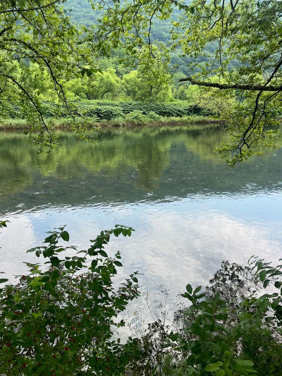 Single Family River  Broome County, NY 13754, MLS-889893-11
