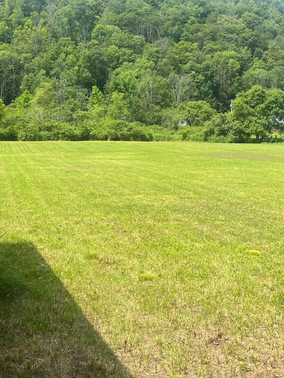 Single Family River  Broome County, NY 13754, MLS-889893-12