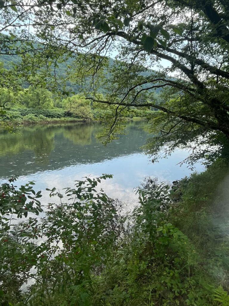Single Family River  Broome County, NY 13754, MLS-889893-15