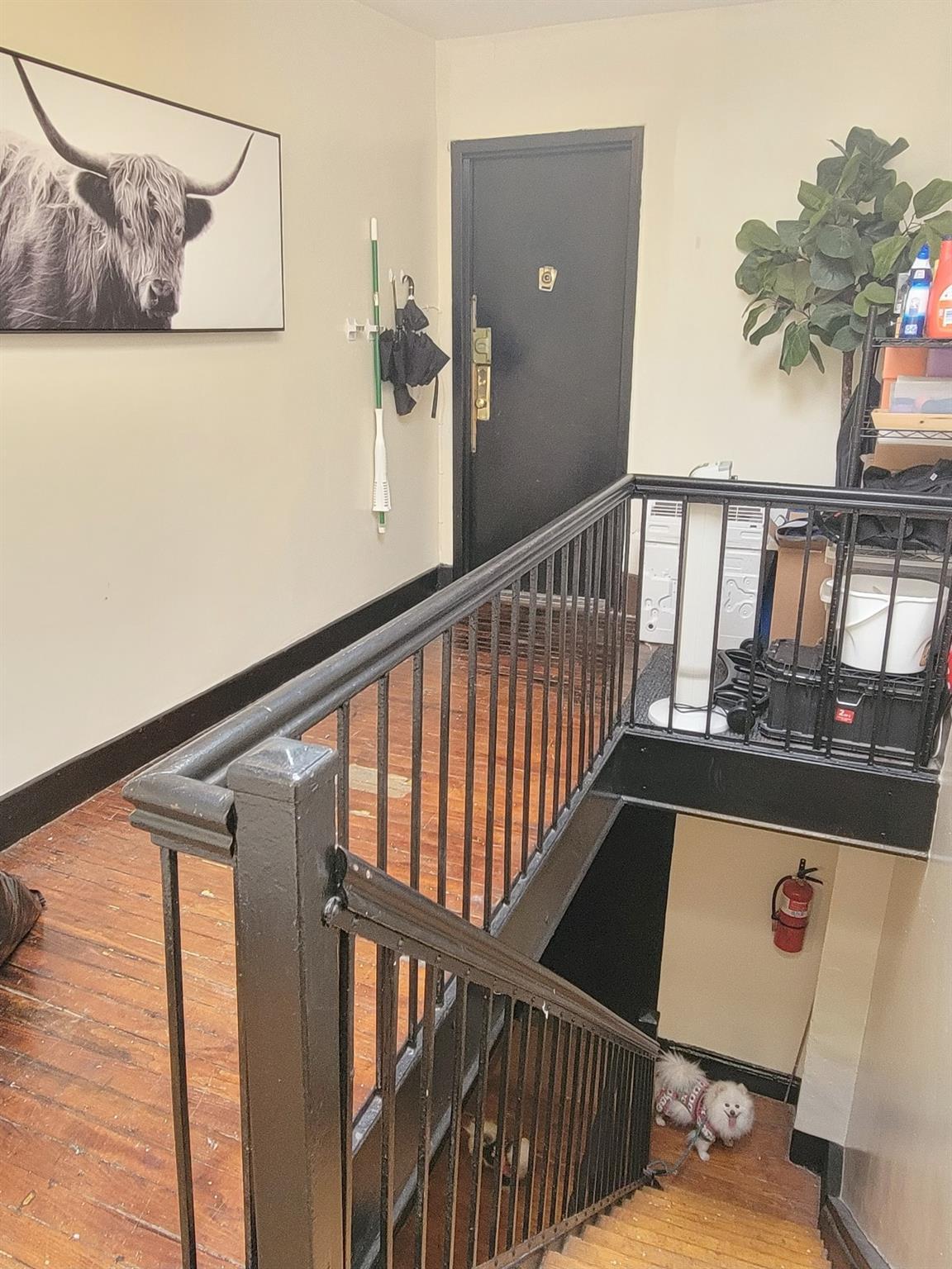 Single Family Atlantic Brooklyn, NY 11201, MLS-890266-12