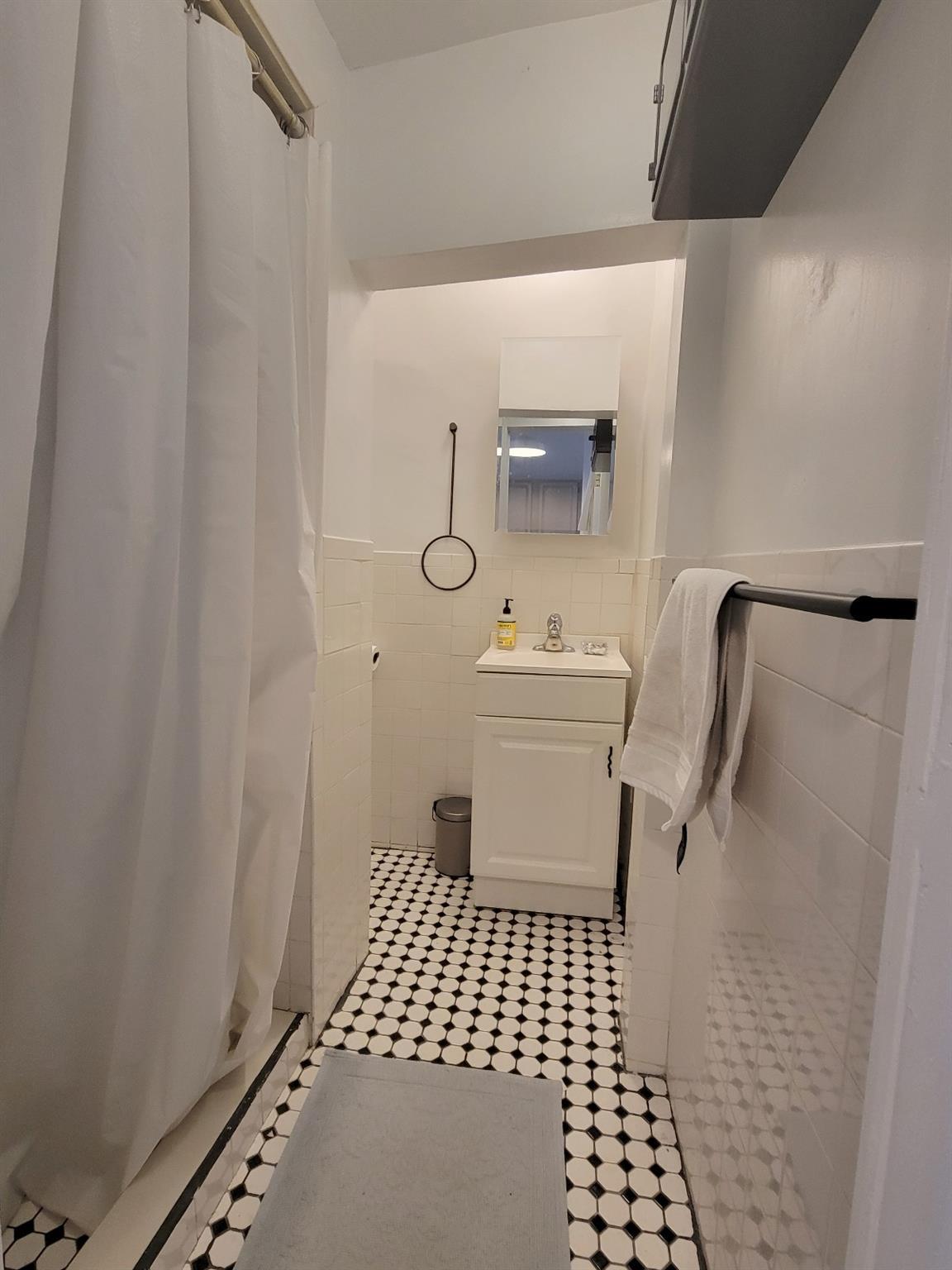 Single Family Atlantic Brooklyn, NY 11201, MLS-890266-16