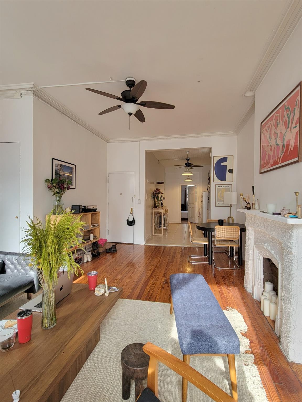 Single Family Atlantic Brooklyn, NY 11201, MLS-890266-6