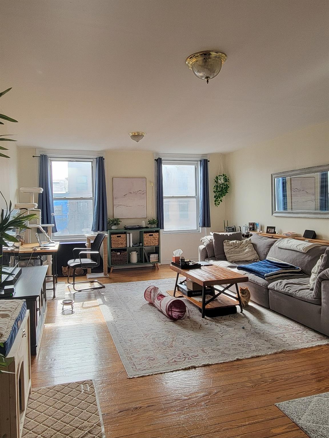 Single Family Atlantic Brooklyn, NY 11201, MLS-890266-9