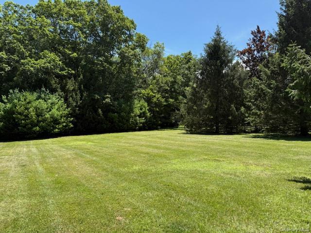 Single Family Corkscrew  Sullivan County, NY 12719, MLS-890365-15