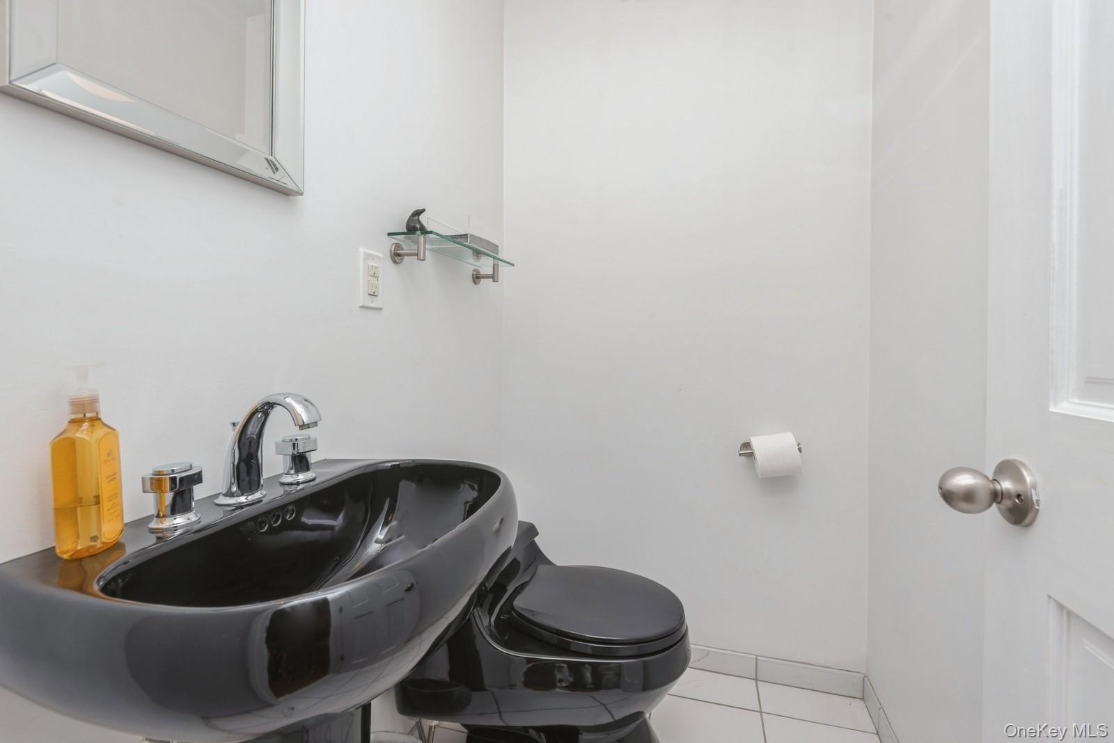 Single Family Redwood Nassau County, NY 11516, MLS-890631-25