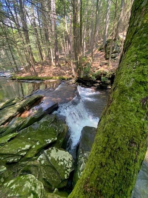 Single Family Hollow  Sullivan County, NY 12737, MLS-890697-12