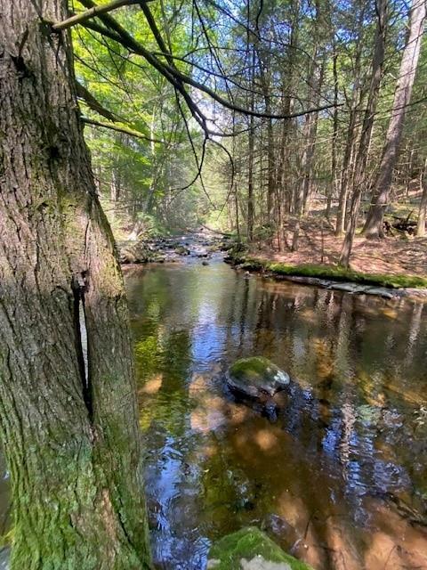 Single Family Hollow  Sullivan County, NY 12737, MLS-890697-13