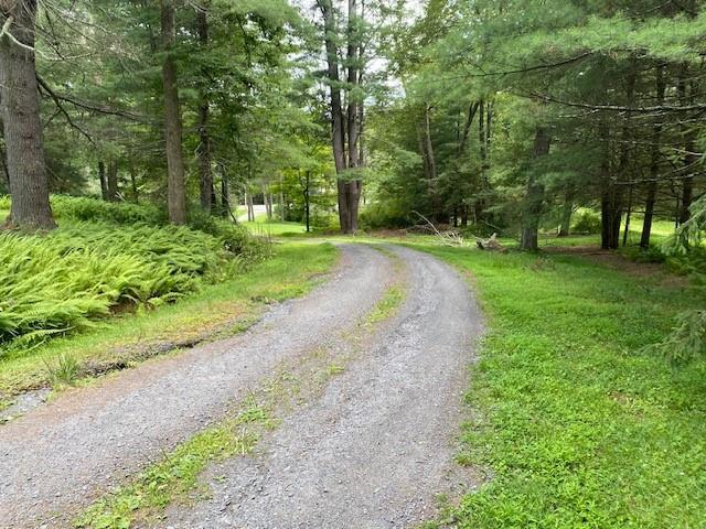 Single Family Hollow  Sullivan County, NY 12737, MLS-890697-7